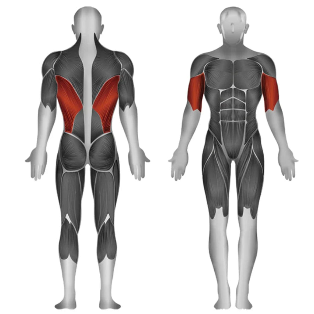 SteelFlex - Steelflex® JGLM300 Seletorized Lat Pulldown - Selectorized - Revive and Lift