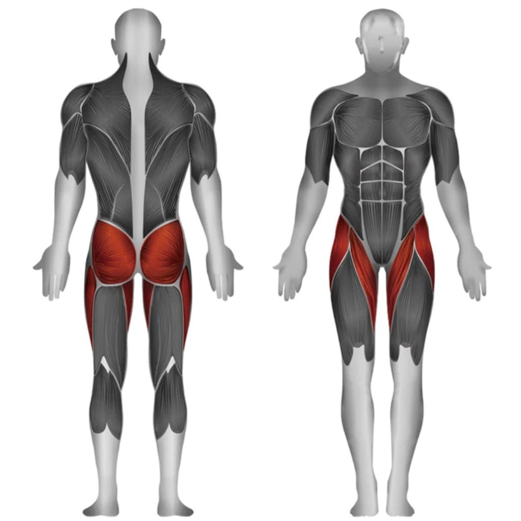 SteelFlex - Steelflex® JGMH1100 Thigh Machine | Dual Leg Trainer - Selectorized - Revive and Lift