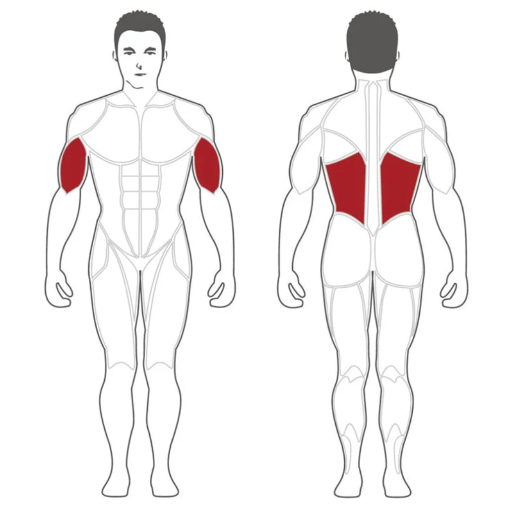 SteelFlex - Steelflex® PLLA Lat Pulldown Machine - Plate Loaded - Revive and Lift