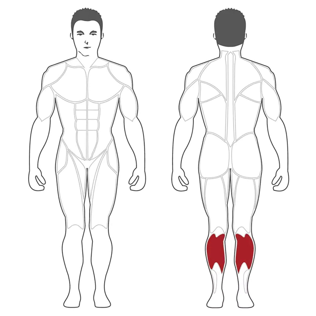 SteelFlex - Steelflex® PLSC Seated Calf Machine - Plate Loaded - Revive and Lift