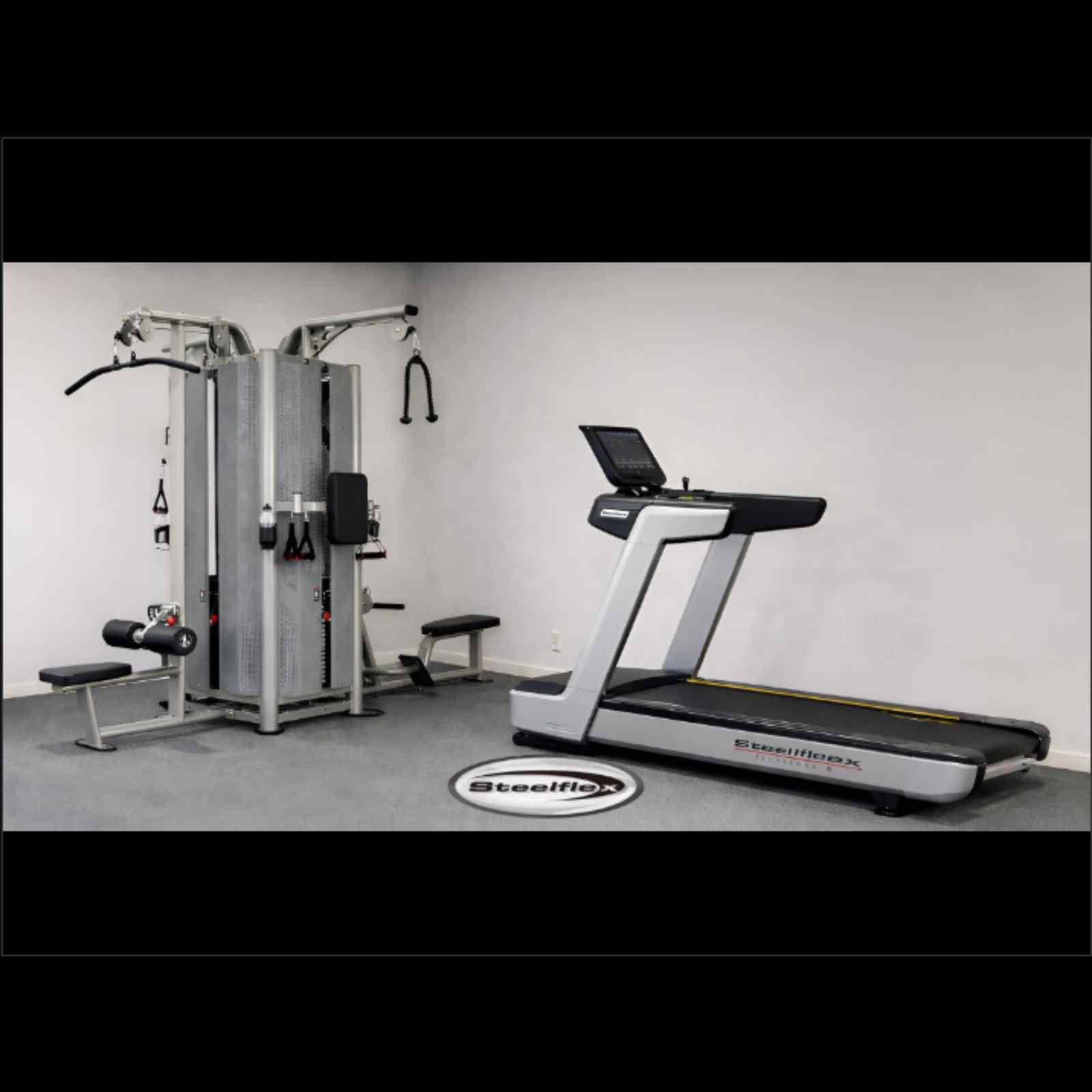 steelflex gym equipment