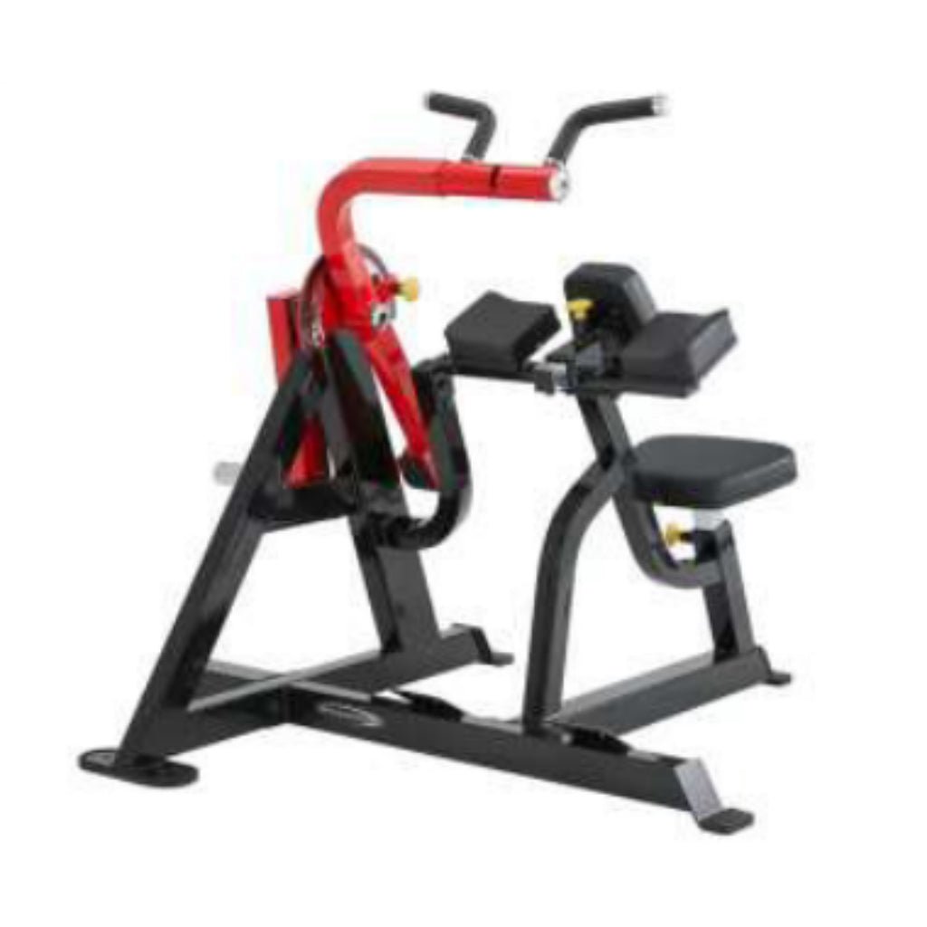 SteelFlex - PL2600 Bicep Curl & Tricep Extension Machine - Plate Loaded - Revive and Lift