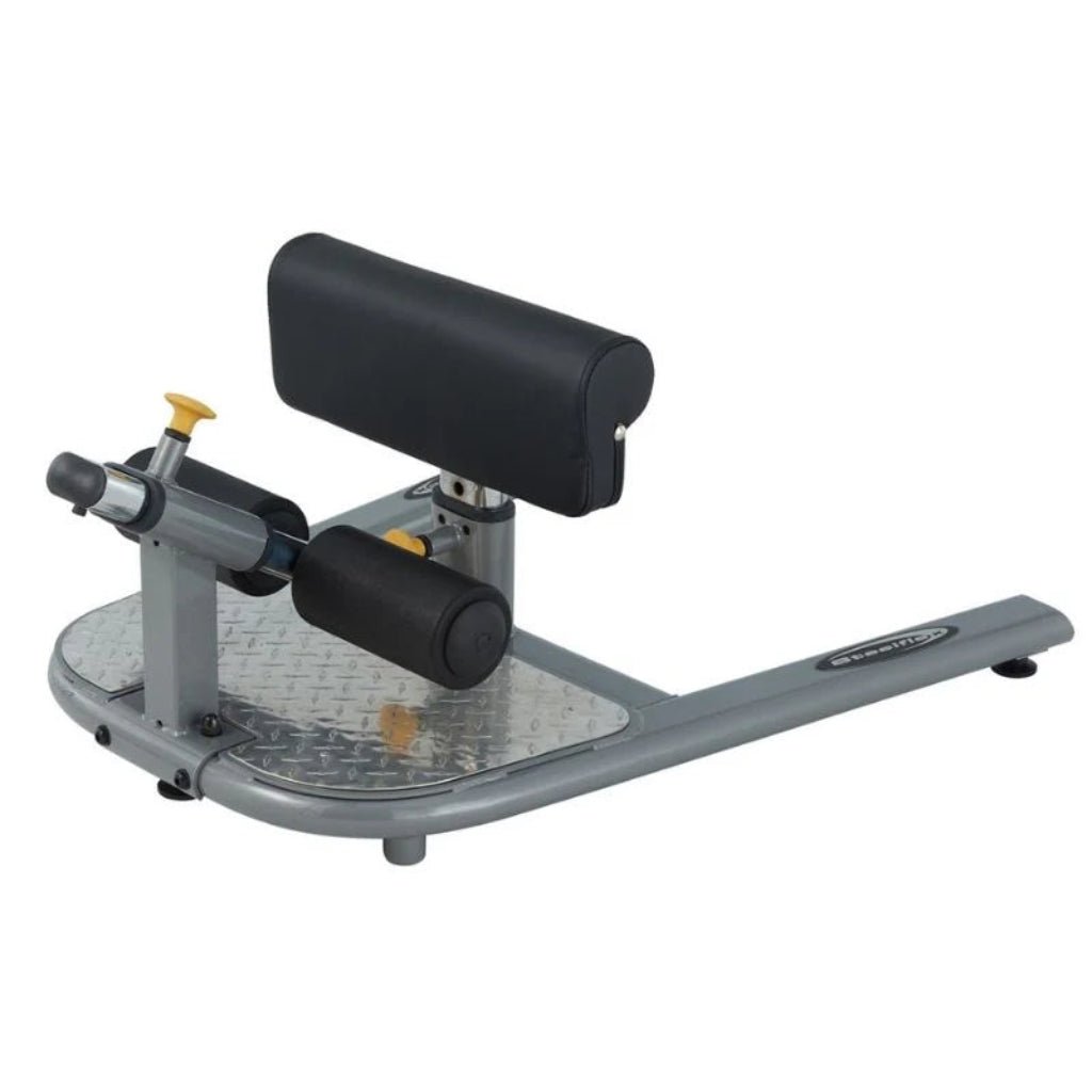 SteelFlex - NSS1 Sissy Squat - Bench - Revive and Lift