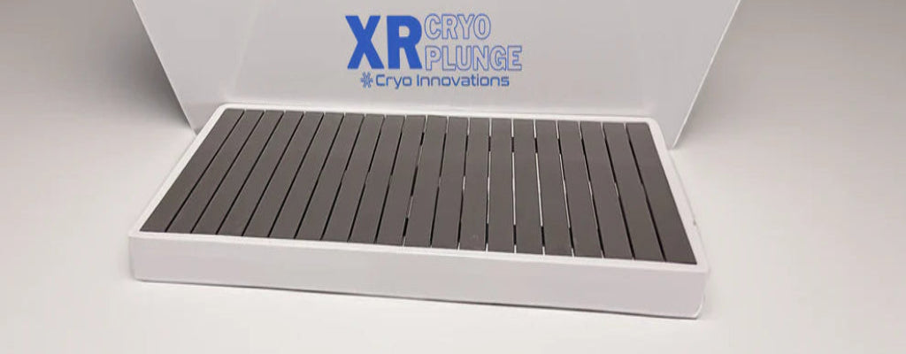 XR Cryo Plunge "Window"