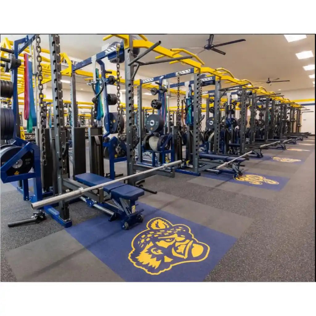 Ecore Athletic Flooring Collection - Revive and Lift