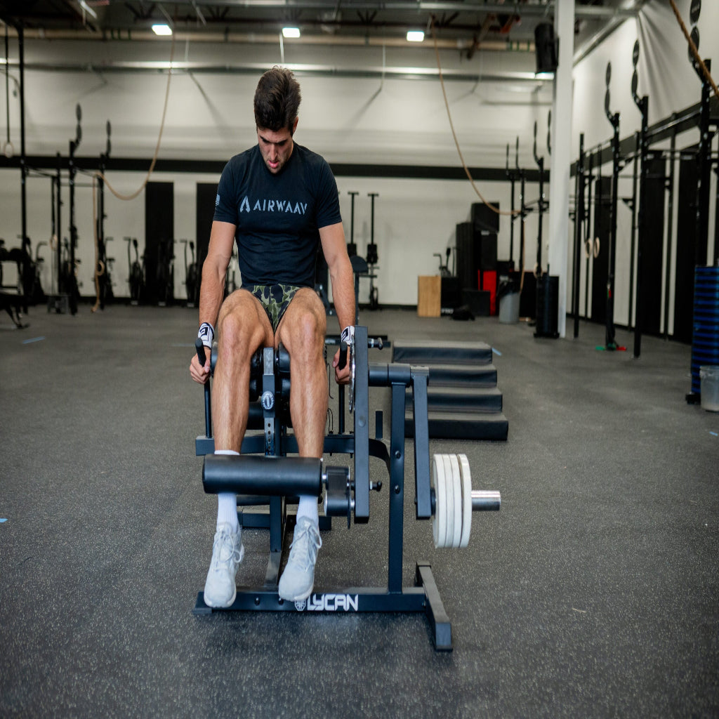 Plate Loaded Leg Ext. / Curl Machine