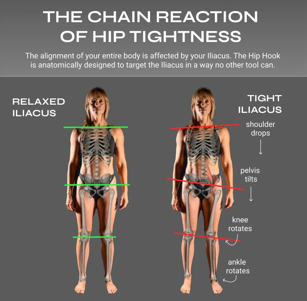 Full Body System | Aletha Health - Muscle release tool - Aletha Health