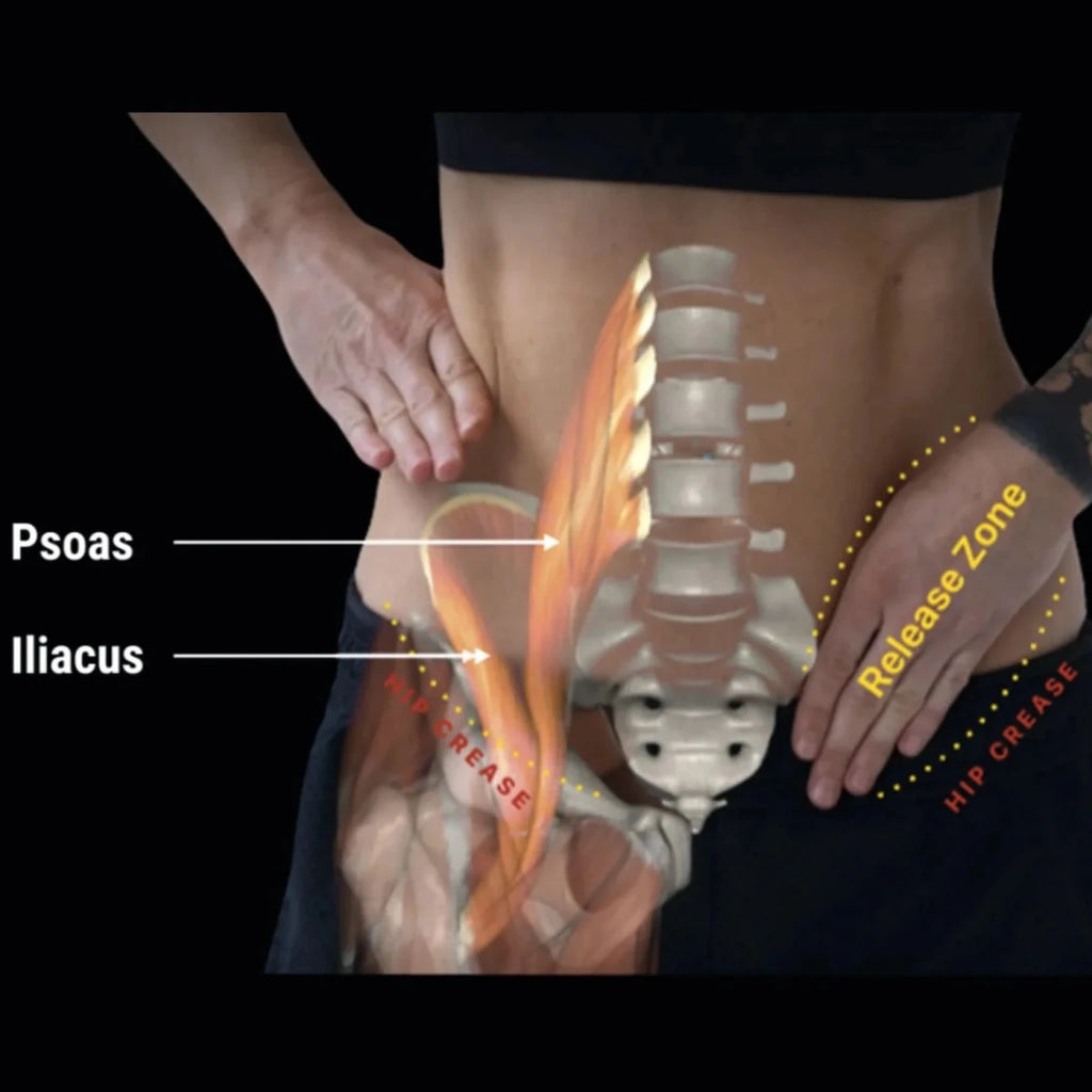 Hip Hook™ System | Aletha Health - Muscle release tool - Aletha Health