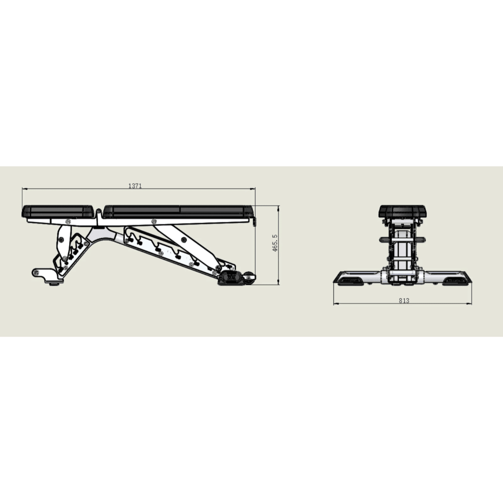 Commercial Adjustable Bench | Anatomy Fitness - Bench - Anatomy Fitness