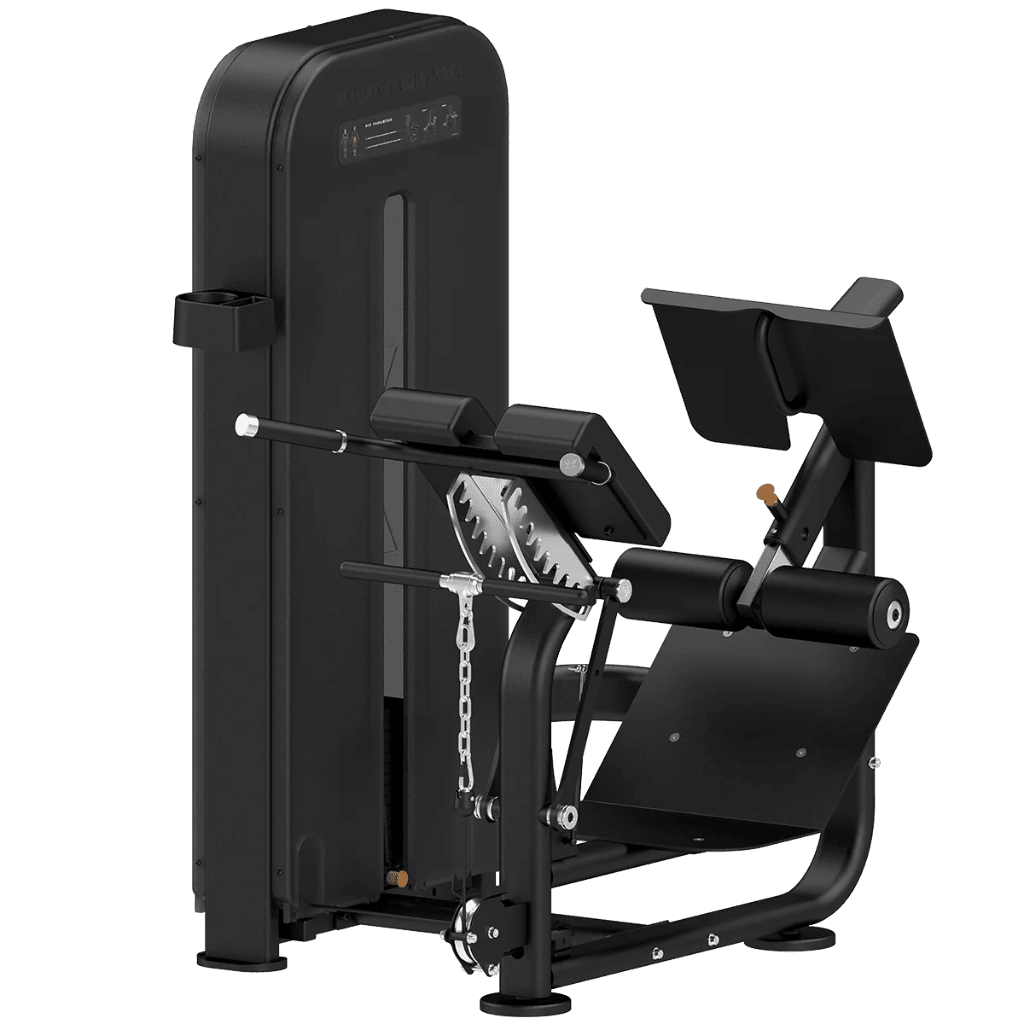 FLEXORA Multi Back Extension | Anatomy Fitness - Selectorized - Anatomy Fitness