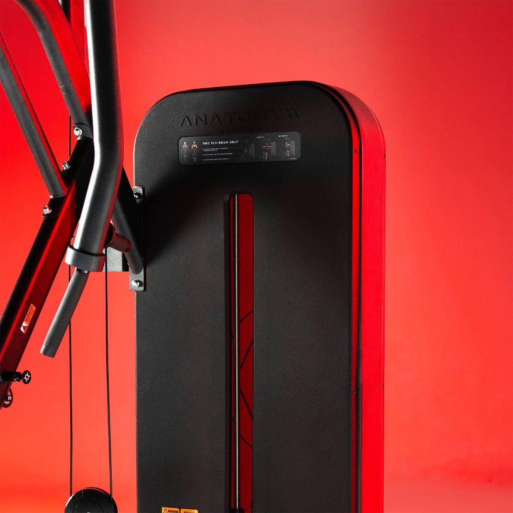 FLEXORA Pec Fly Rear Delt | Anatomy Fitness - Selectorized - Anatomy Fitness