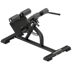 Multi-Adjustable Back Extension | Anatomy Fitness - Bench - Anatomy Fitness
