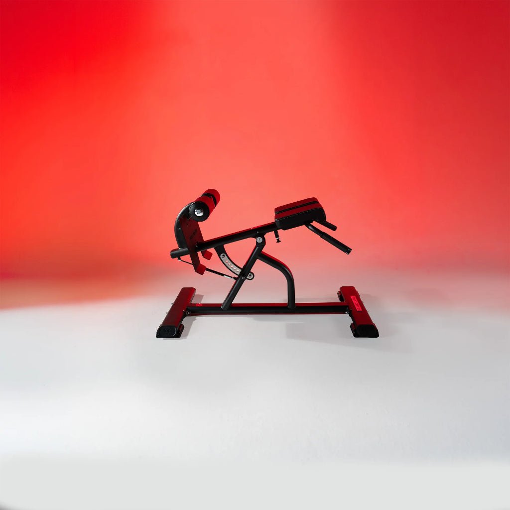 Multi-Adjustable Back Extension | Anatomy Fitness - Bench - Anatomy Fitness
