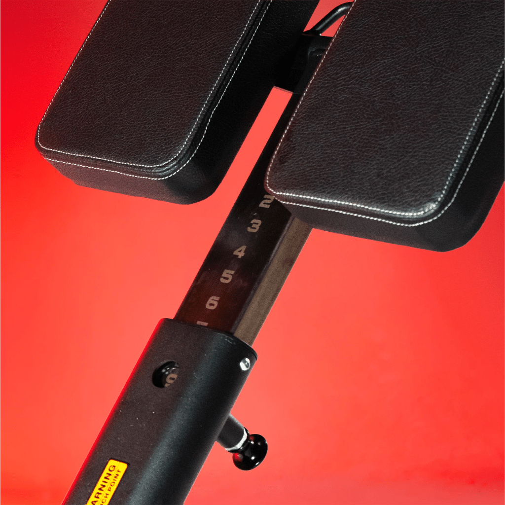 Multi-Adjustable Back Extension | Anatomy Fitness - Bench - Anatomy Fitness