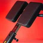 Multi-Adjustable Back Extension | Anatomy Fitness - Bench - Anatomy Fitness