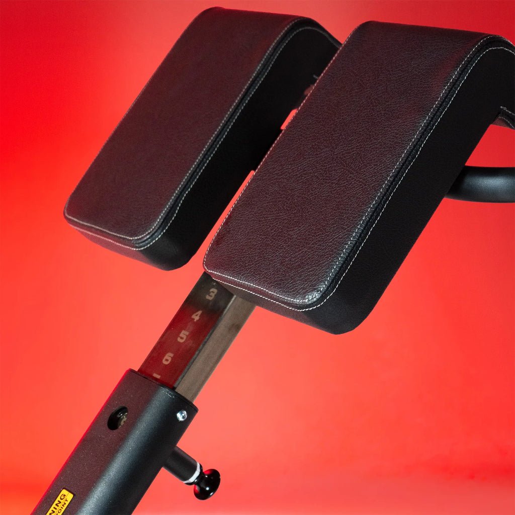 Multi-Adjustable Back Extension | Anatomy Fitness - Bench - Anatomy Fitness