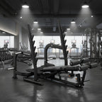 Multi Olympic Bench Press | Anatomy Fitness - Bench - Anatomy Fitness
