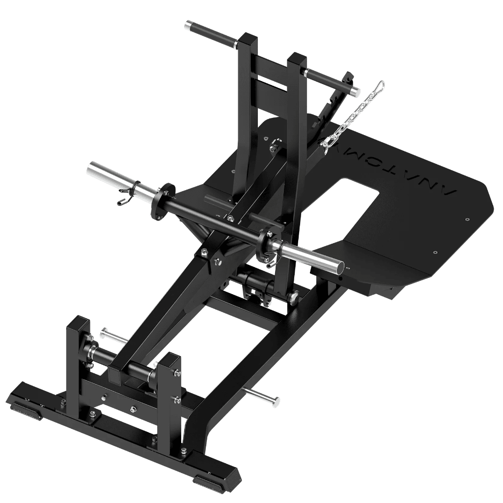 TORGYN Belt Squat Machine | Anatomy Fitness - Plate Loaded - Anatomy Fitness