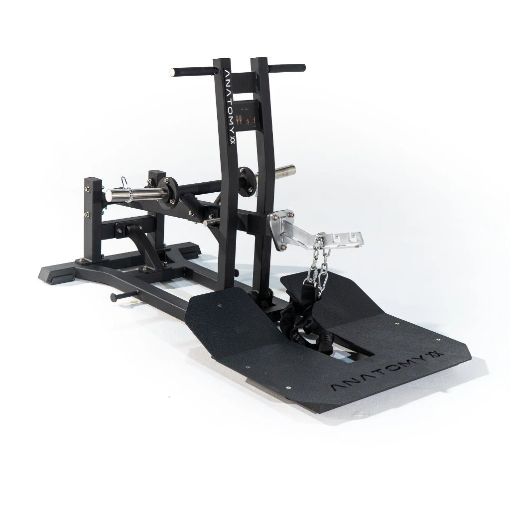TORGYN Belt Squat Machine | Anatomy Fitness - Plate Loaded - Anatomy Fitness