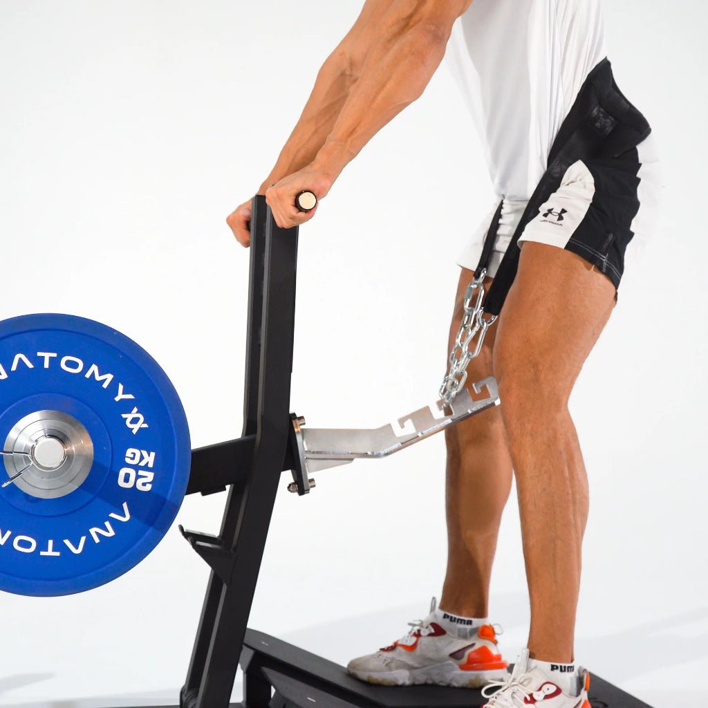 TORGYN Belt Squat Machine | Anatomy Fitness - Plate Loaded - Anatomy Fitness