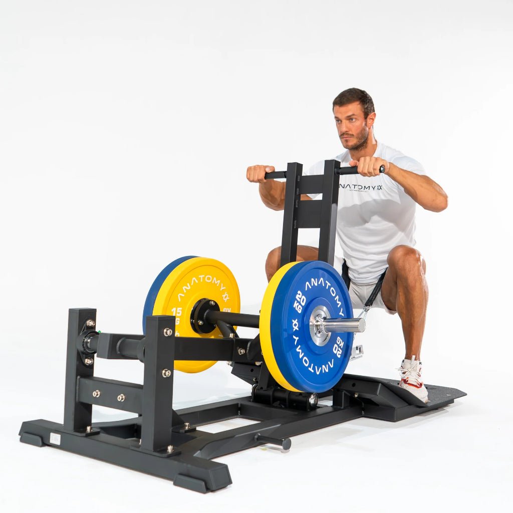 TORGYN Belt Squat Machine | Anatomy Fitness - Plate Loaded - Anatomy Fitness