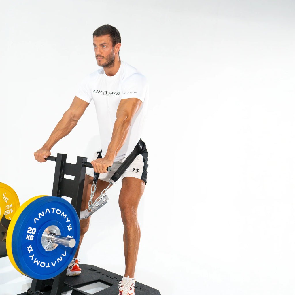 TORGYN Belt Squat Machine | Anatomy Fitness - Plate Loaded - Anatomy Fitness