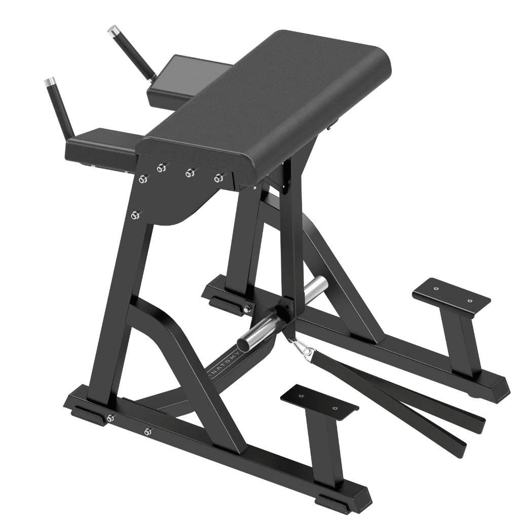TORGYN Reverse Hyper | Anatomy Fitness - Plate Loaded - Anatomy Fitness