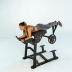TORGYN Reverse Hyper | Anatomy Fitness - Plate Loaded - Anatomy Fitness
