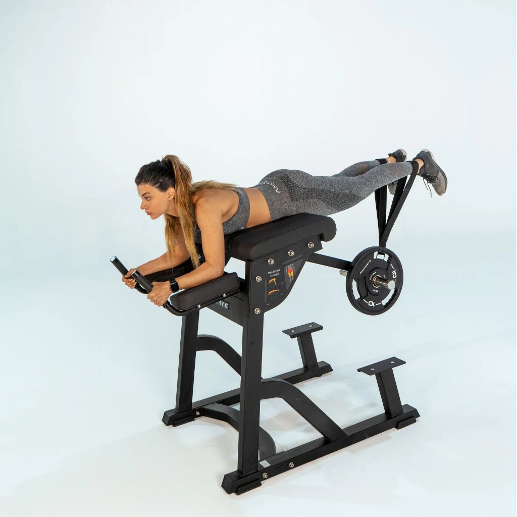 TORGYN Reverse Hyper | Anatomy Fitness - Plate Loaded - Anatomy Fitness