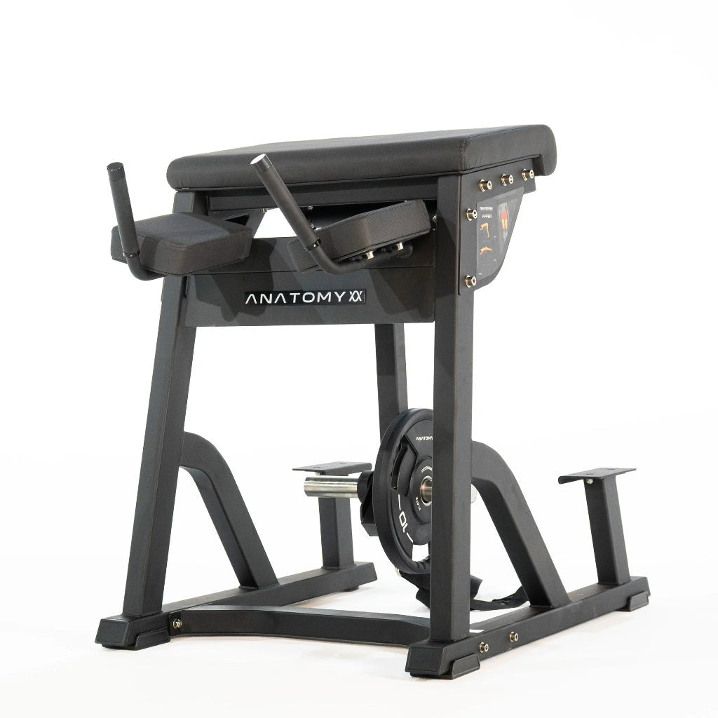 TORGYN Reverse Hyper | Anatomy Fitness - Plate Loaded - Anatomy Fitness