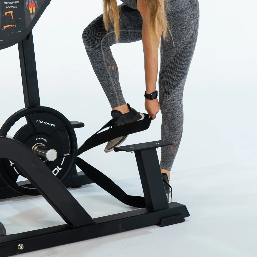 TORGYN Reverse Hyper | Anatomy Fitness - Plate Loaded - Anatomy Fitness