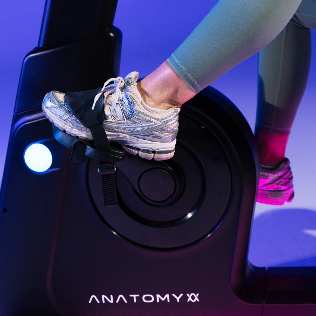 VELTRIX Commercial Recumbent Bike | Anatomy Fitness - Recumbent Bike - Anatomy Fitness