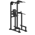 Vertical Knee Raise Dip Station | Anatomy Fitness - VKR - Anatomy Fitness
