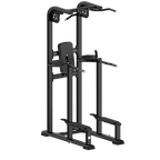 Vertical Knee Raise Dip Station | Anatomy Fitness - VKR - Anatomy Fitness