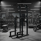 Vertical Knee Raise Dip Station | Anatomy Fitness - VKR - Anatomy Fitness