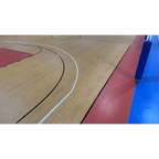 Baller Motivate Class I Court Flooring | Ecore - Flooring - Ecore International