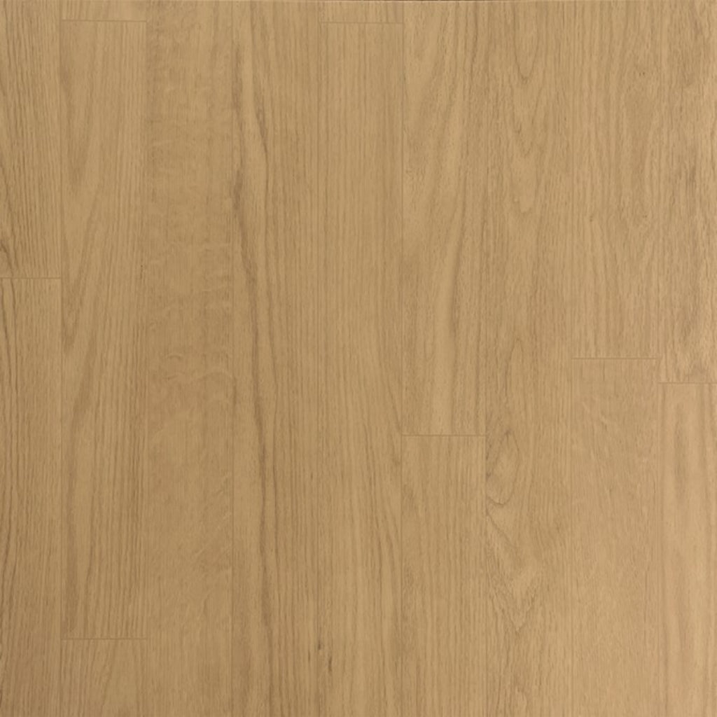 Baller Rally Class II Court Flooring | Ecore - Flooring - Ecore International