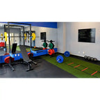 RageTurf Motivate Sled Turf | Ecore - Flooring - Ecore International