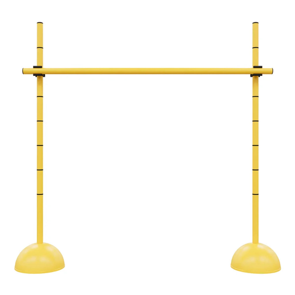 Plyo Hurdles