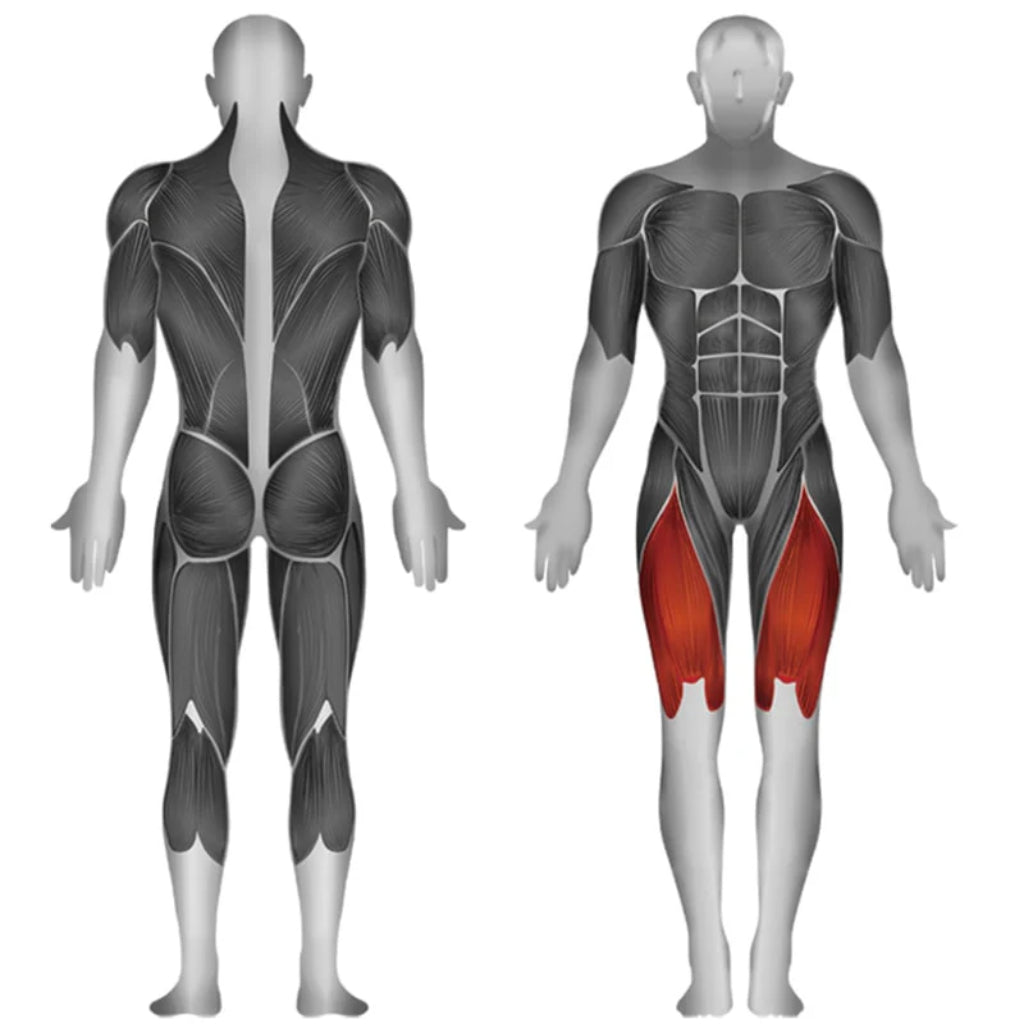 SteelFlex - Steelflex® JGLE200 Selectorized Leg Extension - Selectorized - Revive and Lift