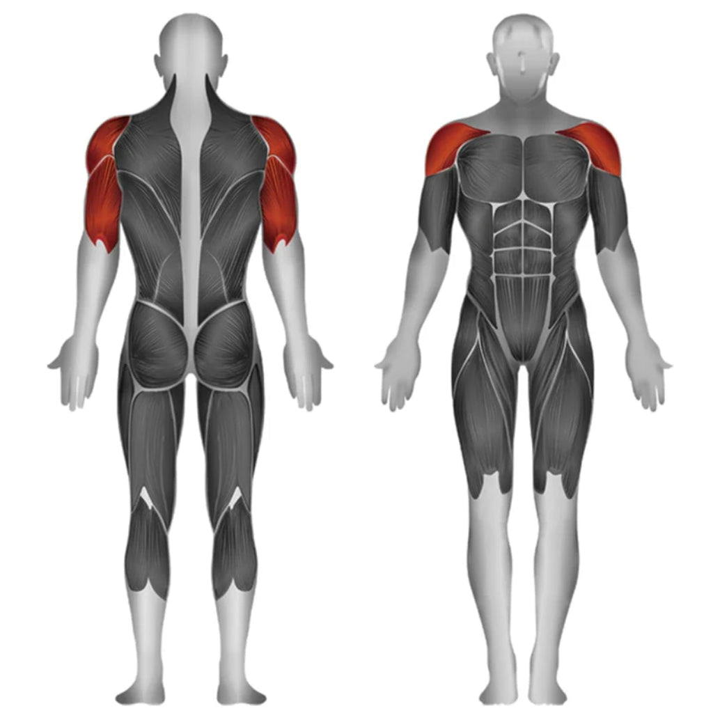 SteelFlex - Steelflex® JGSP800 Selectorized Shoulder Press - Selectorized - Revive and Lift