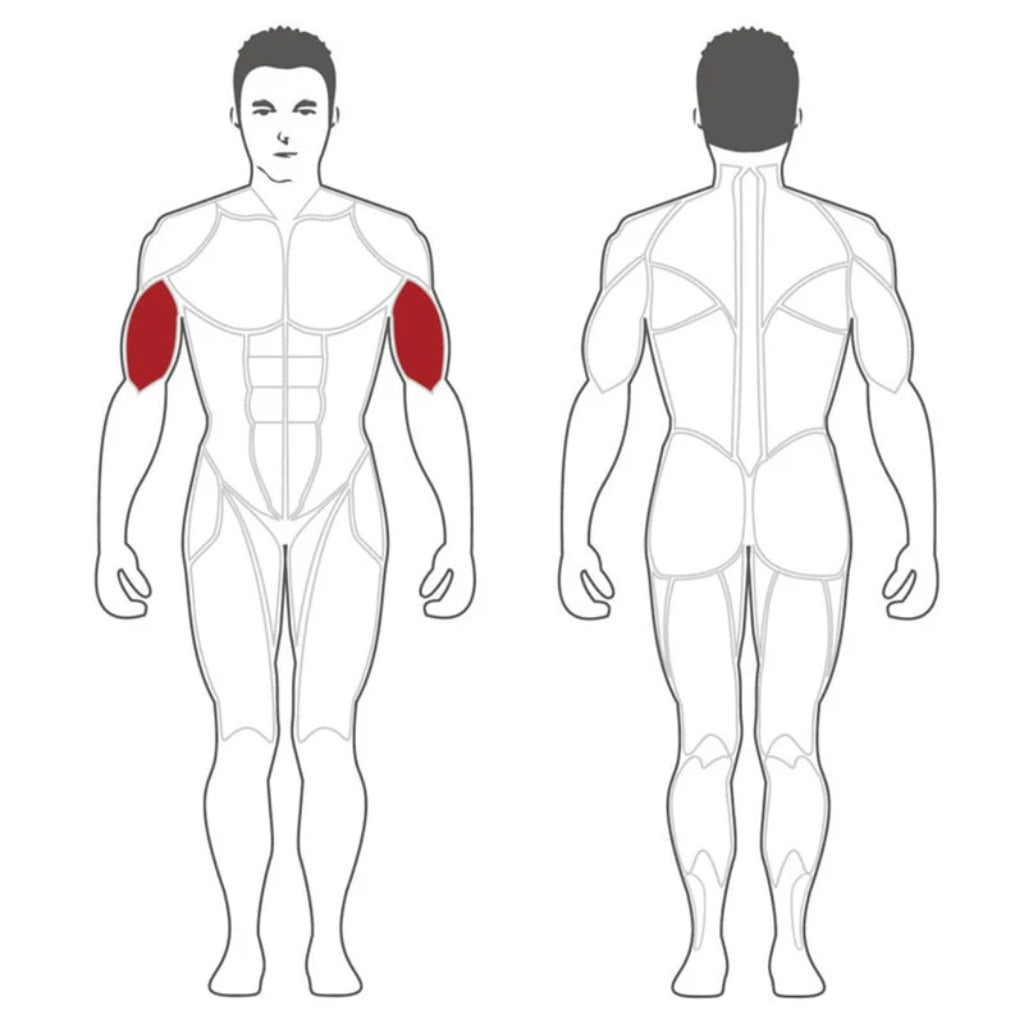 SteelFlex - Steelflex® PLBC Bicep Curl Machine - Plate Loaded - Revive and Lift
