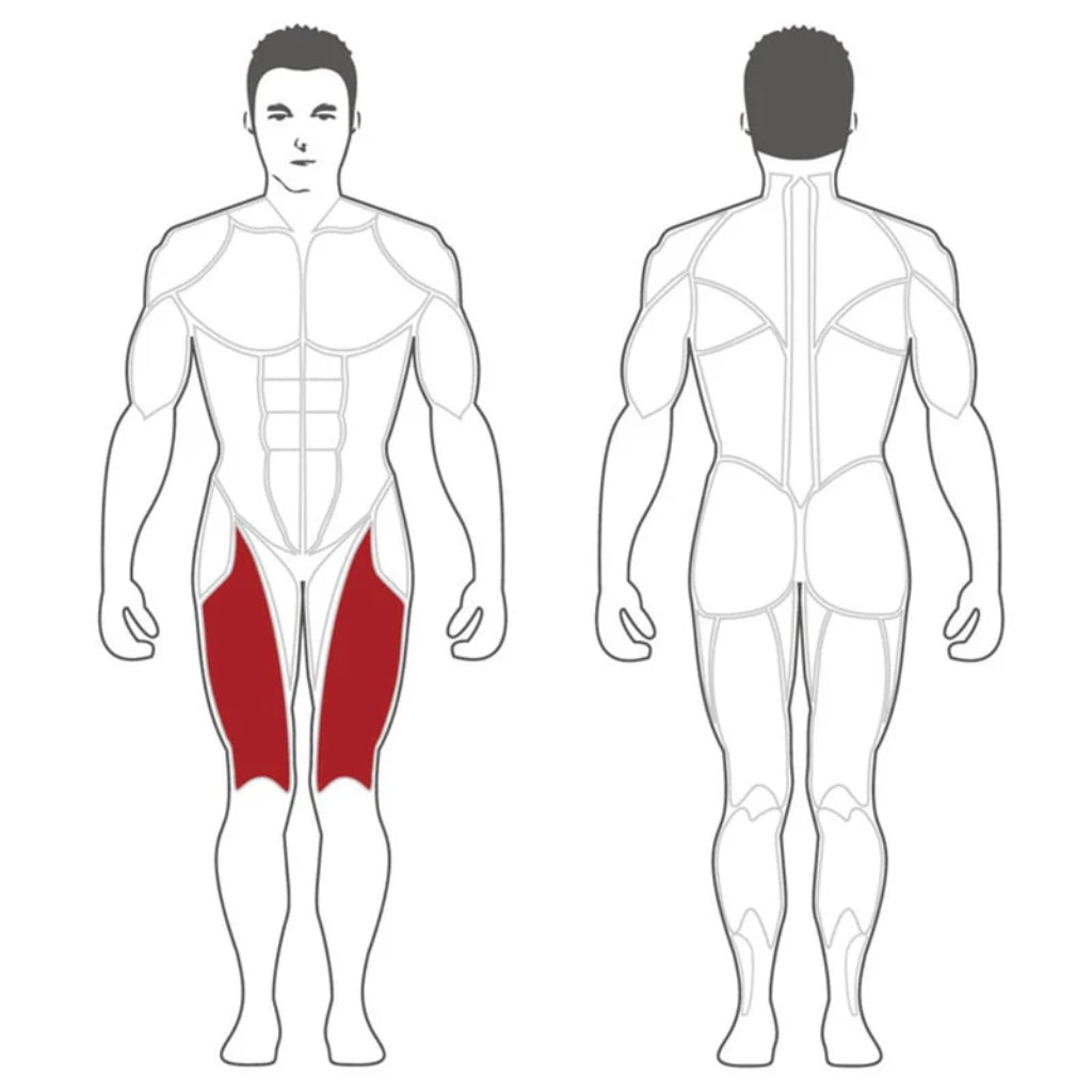 SteelFlex - Steelflex® PLLE Leg Extension Machine - Plate Loaded - Revive and Lift