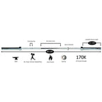 York Chrome Olympic Training Weight Bar 20kg - Barbell - York Barbell